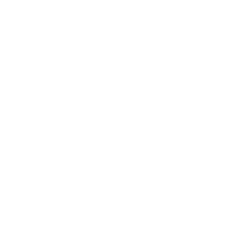 Strategic Partner