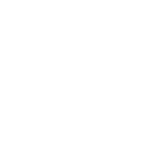 Consultant