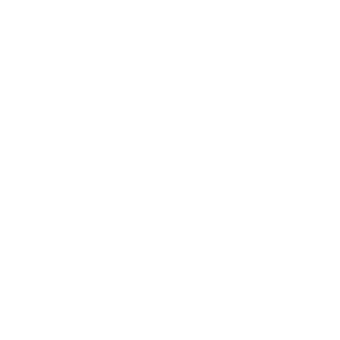 Our Team